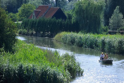 Le marais de Clairmarais